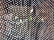 Výlet do Ekocentra MB - Spižírna